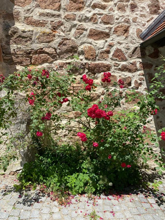 Gaestehaus Maelzerei Auf Schloss Neuburg Am Inn מראה חיצוני תמונה